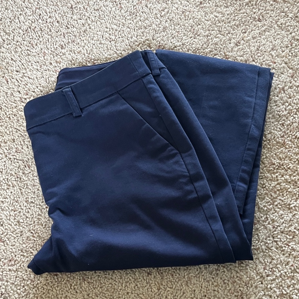Express Columnist Ankle Pant - Navy